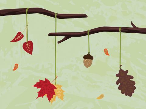 Image of branches with leaves and acorns