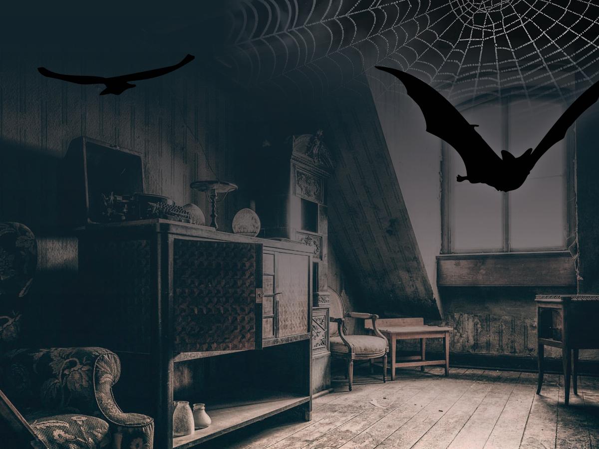 Image of creepy attic