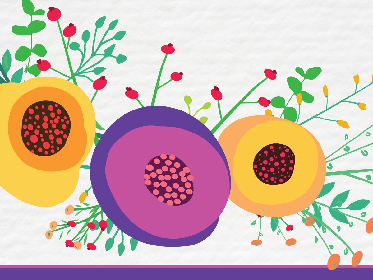 Image of flower illustrations