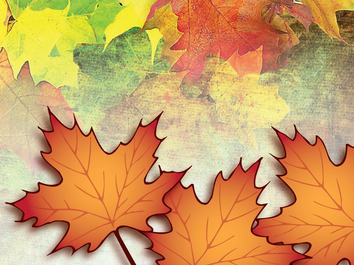 Image of fall leaves